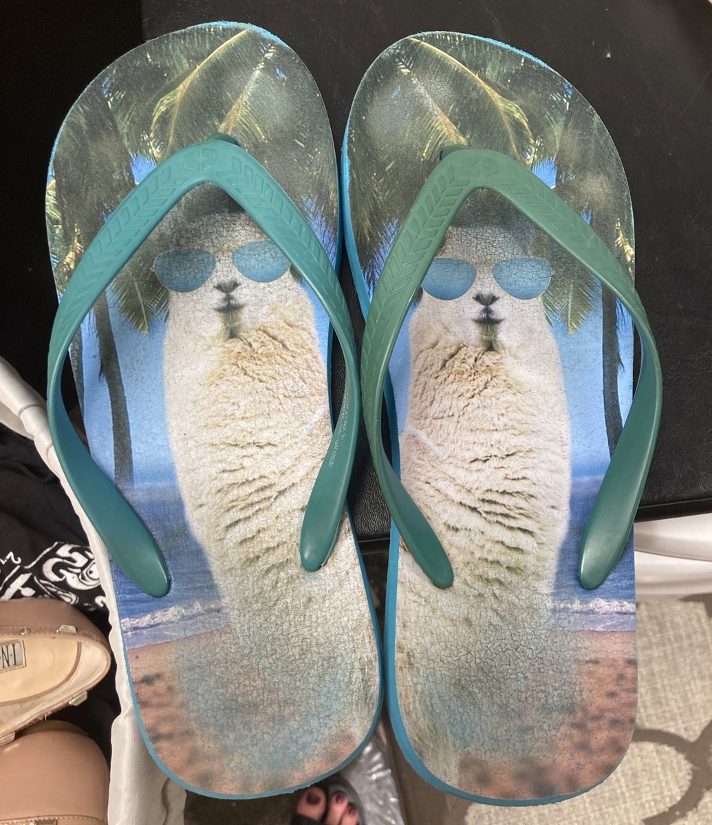 mcleahbox's tweet photo. Llama sandals #secondhandfinds #workingatasecondhandstore #coolllama https://t.co/HmAtWgoSEl