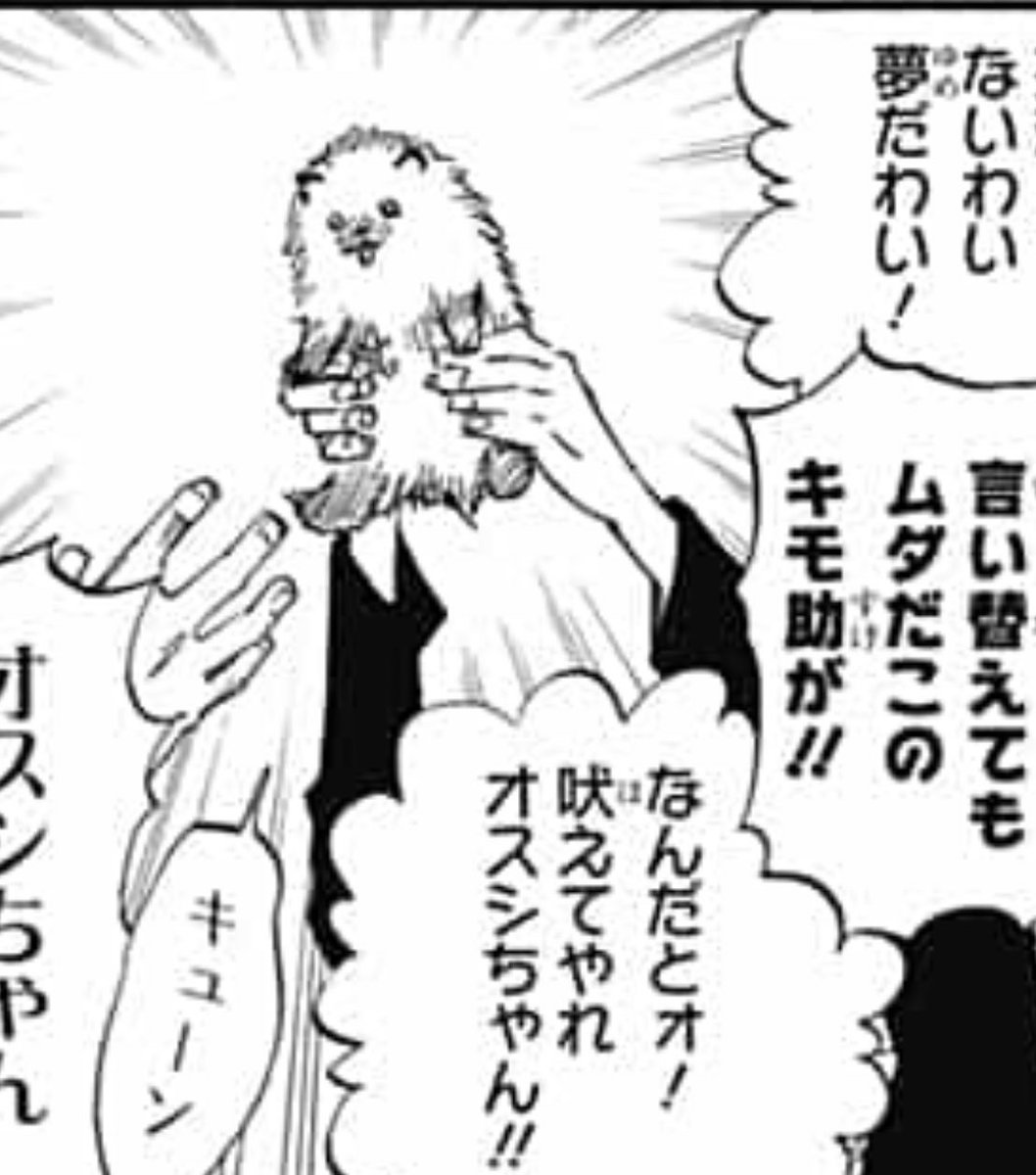 RT @po_iz: 久保師匠の新作、BURN THE WITCHにはポメラニアンのような