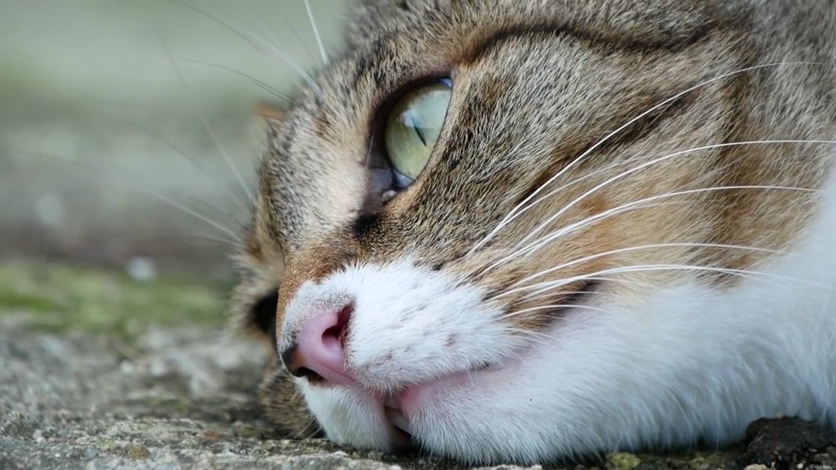 사랑스러운 연님이
제보 감사합니다♡
영상 링크 : youtu.be/nI0OzOq7pD0