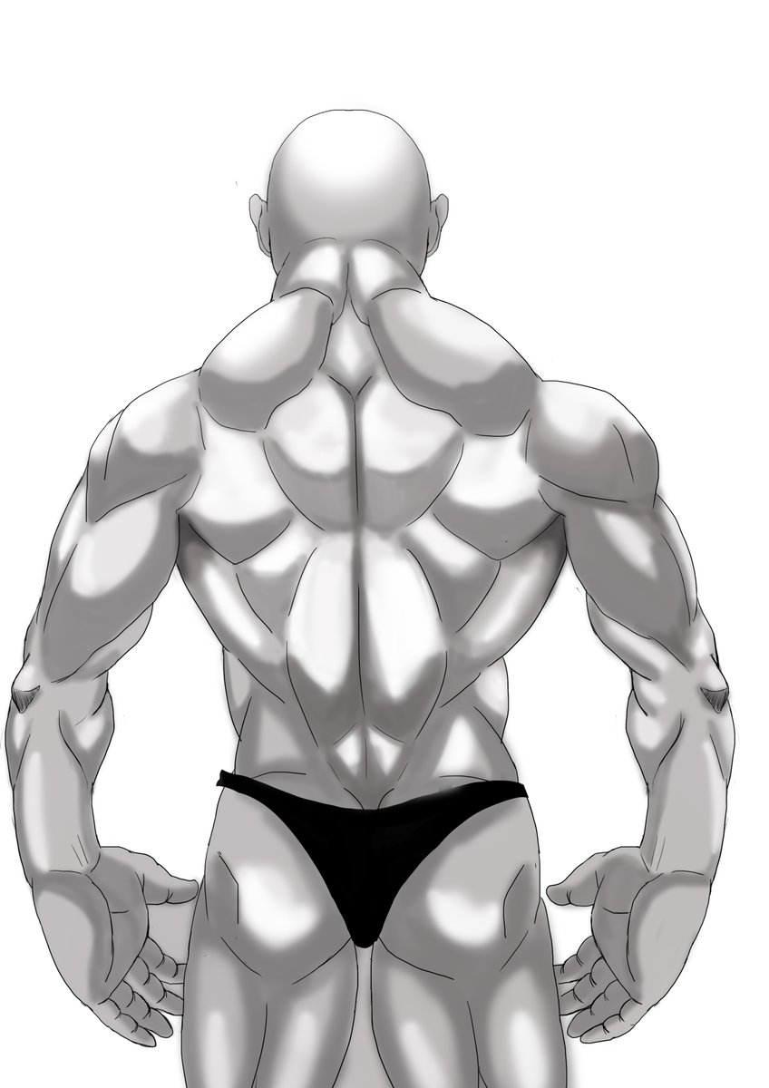 筋肉イラスト 筋肉イラスト