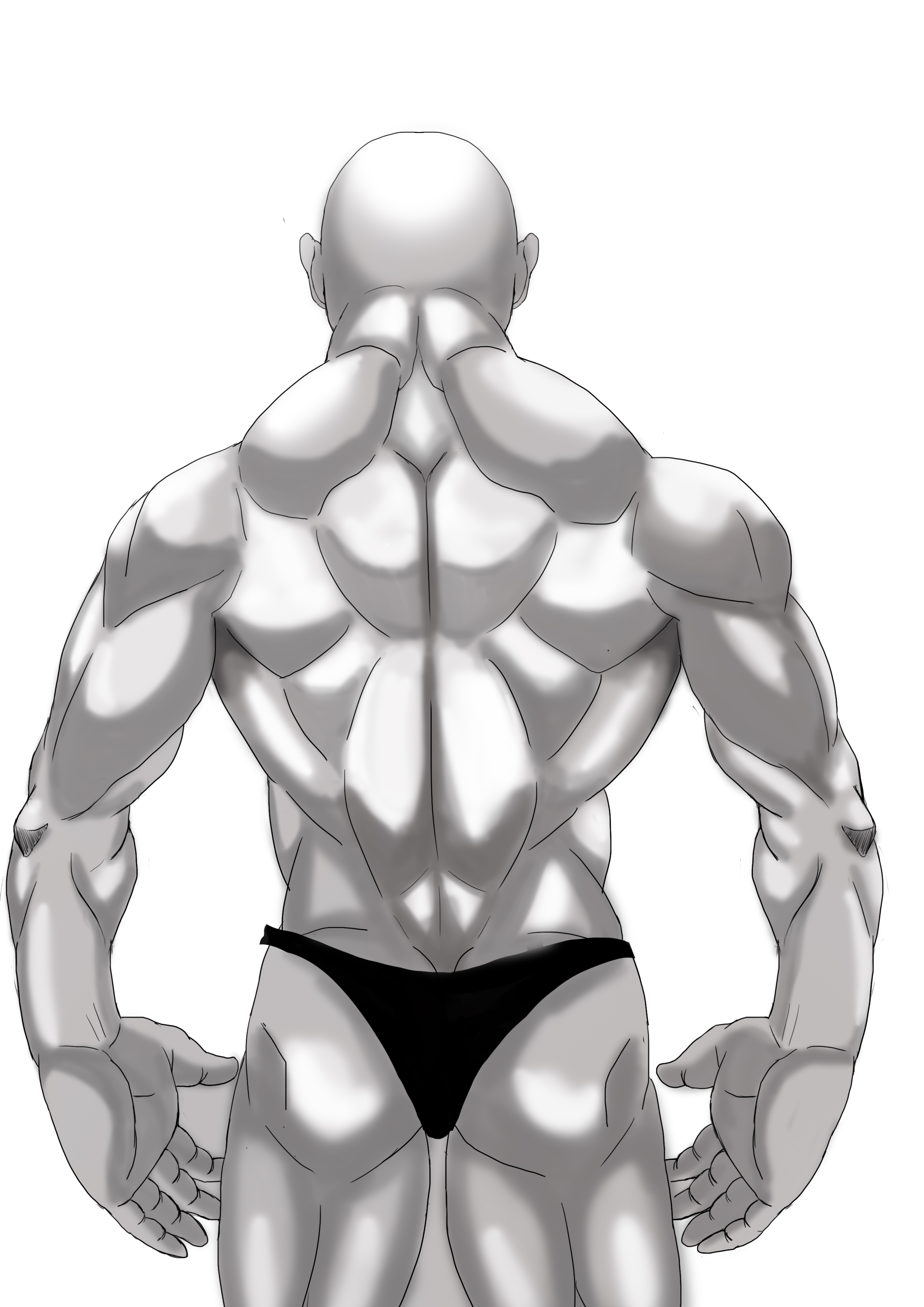頭蓋骨粉砕 絵を描く人 筋肉イラスト信者を増やしたい 背中の筋肉も手癖ですが参考にどうぞ 初心者向けです イラスト 筋肉イラスト T Co D5bfo2kzgu Twitter