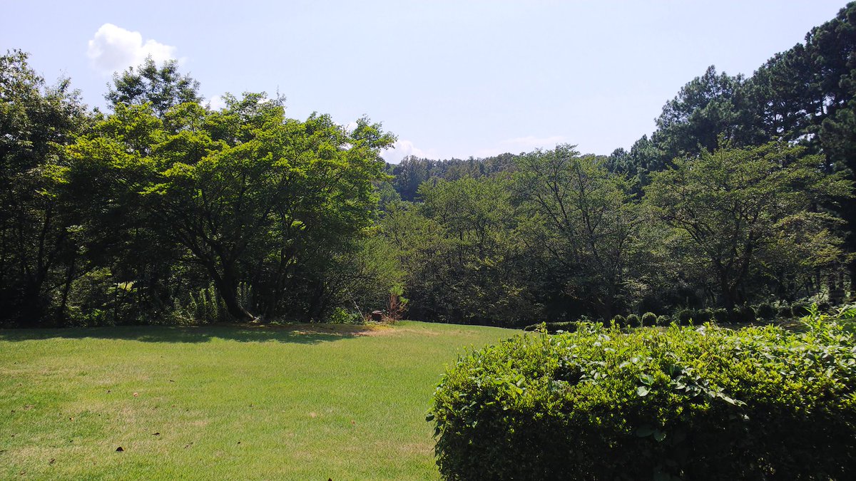 この広大な土地に他の客がおらず動物園貸し切り状態
タヌキも警戒心MAXのはずのテンですら人に興味を持って出てくる。
「指を入れたら噛んじゃうよ」
#石川県森林公園 https://t.co/uA1529VxEL