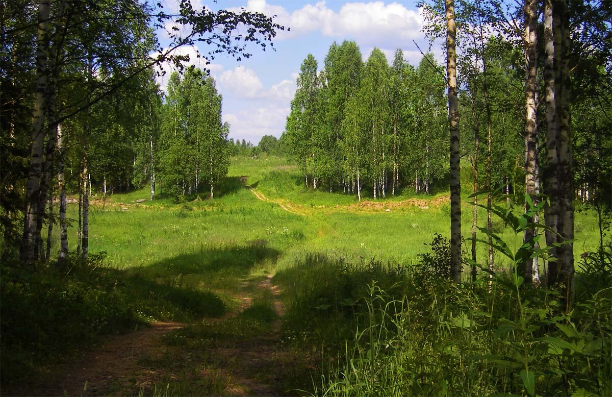 Ириска tweet media