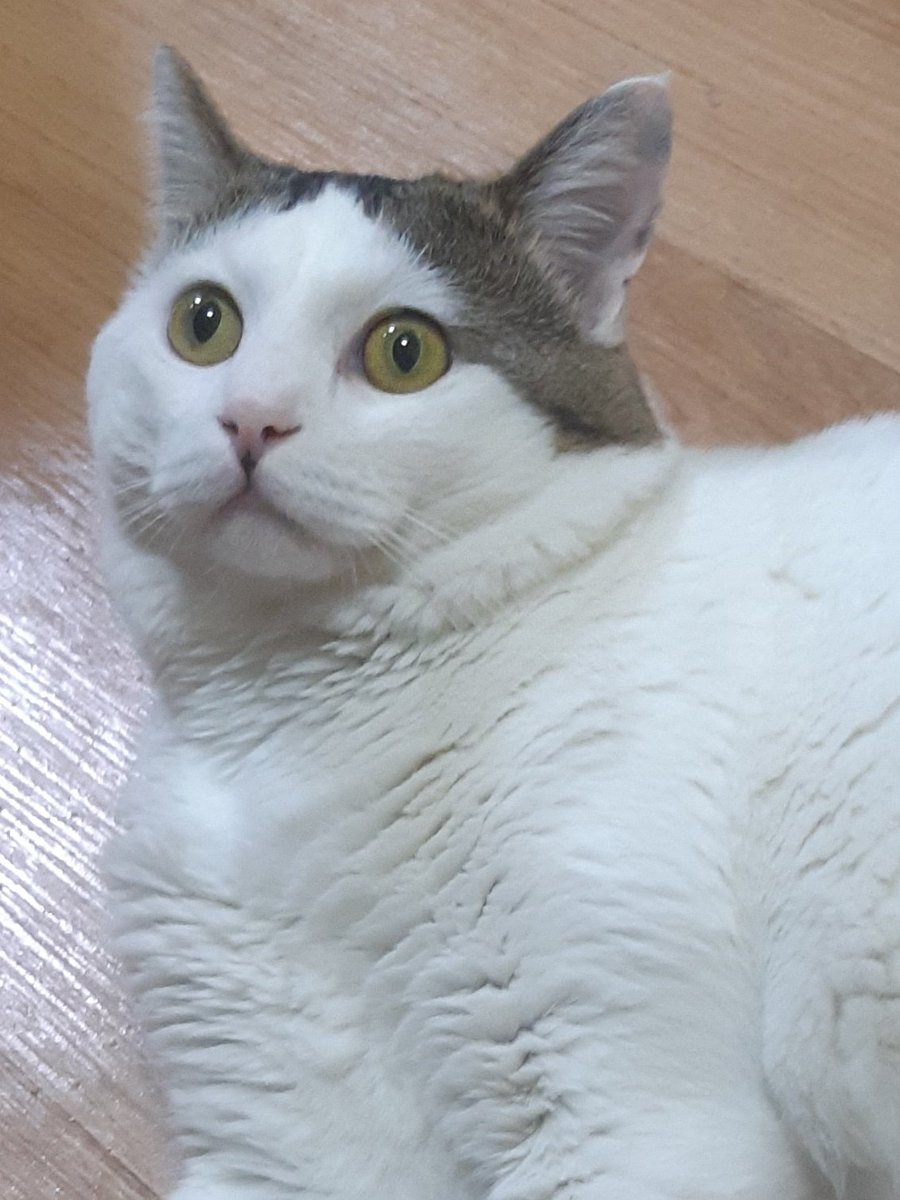 박 노아씨 목욕합시다💧💧💧