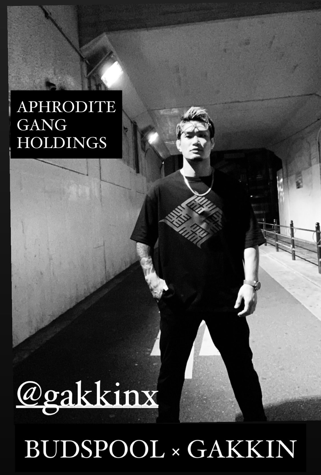 Aprodite gang × Gakkin (XL)