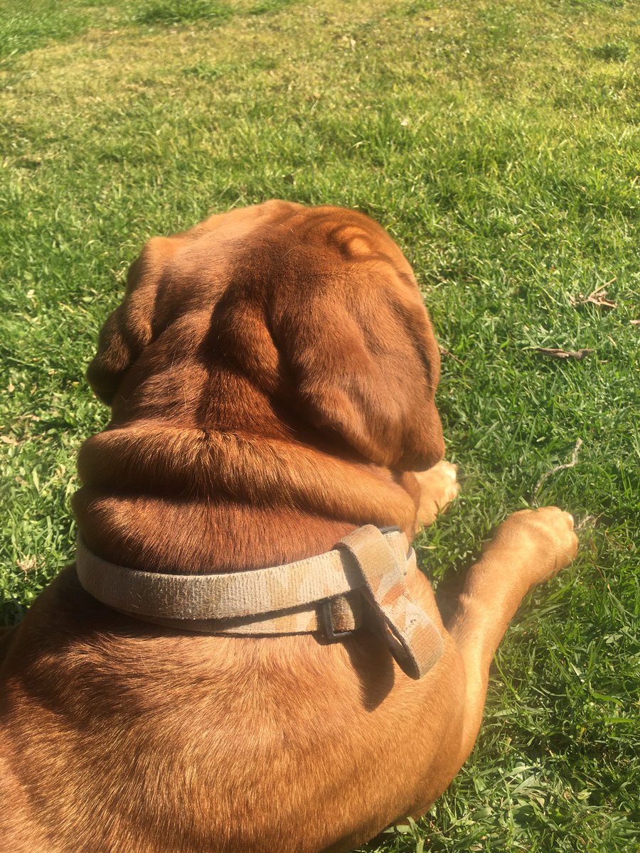 Queestashaciendoyo#tomandosol