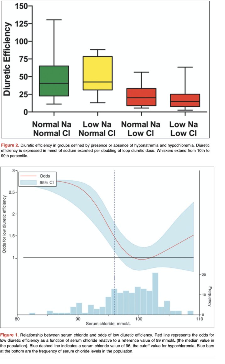 Low Cl- also plays a role in diuretic resistanceCommon problem in HF ptsLoop diuretic resistance is due to DCT hypertrophyIn rat models, loop diuretic infusionthe number of NCC cotransportersHow does this relate to Cl-?Cl- is assoc. with diuretic efficiency