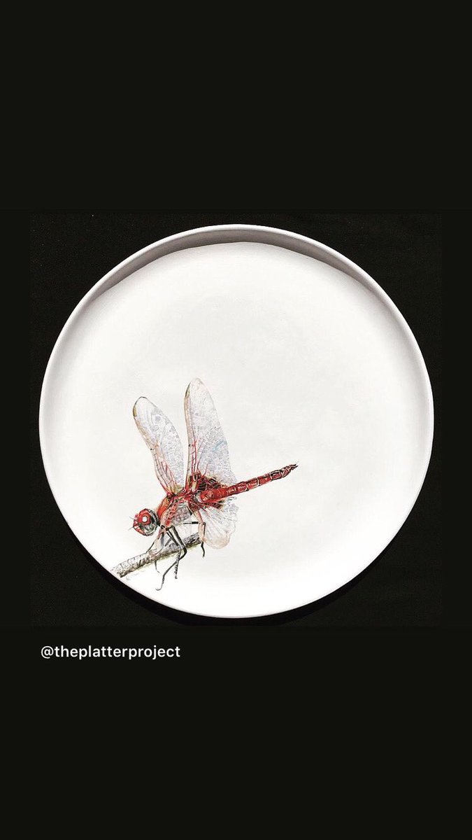 The Platter Project tweet media
