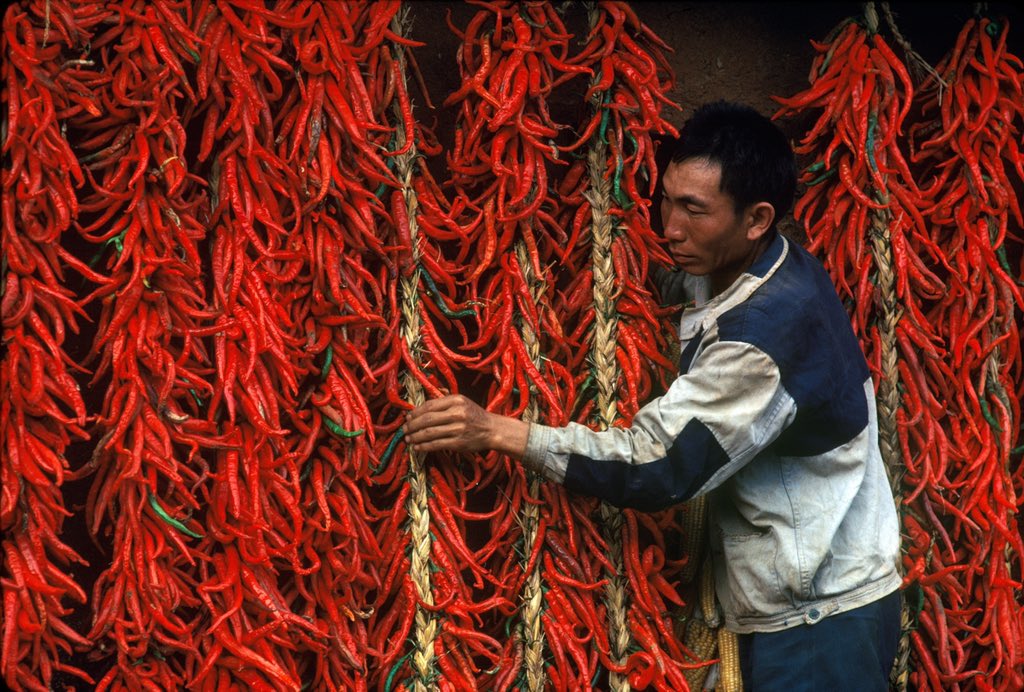 _cultureexpress's tweet image. 【Lens on China】Chengdu of Sichuan Province in 1980. The region is known for its #sichuanpepper and #sichuancuisine !
Photo Credit: Francois Lochon
#chinesecuisine #foodculture #80sphoto #chengdulife