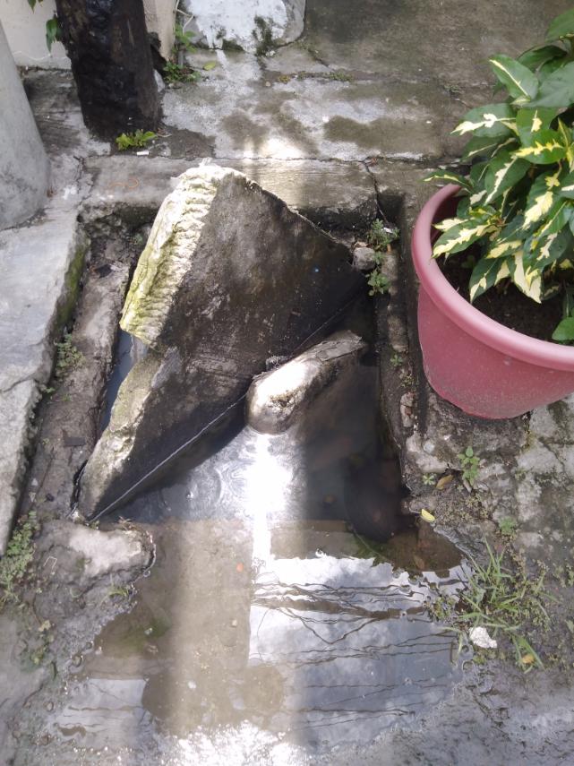 _steadymich's tweet image. Hi Mayor @VicoSotto may schedule na po kaya ang declogging sa Bagong Ilog? Hindi na po bumaba ang tubig sa canal.