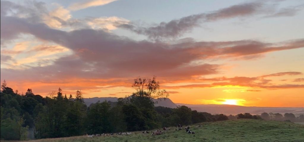 We couldn't resist sharing this view from the drive 😍🌄

#HobbiesOnHoliday
#GartmoreExperience

#Knitting #Crochet #Patchwork #Quilting #WillowWeaving #Sewing #ChristmasCrafts #MixedMedia #EcoPrinting #Photography #Corsetry #Watercolour #Lace #Felting #Millinery #SpoonCarving