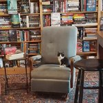カナダの猫カフェみたいな本屋さん。店内で寛ぐ子猫が見れる!w