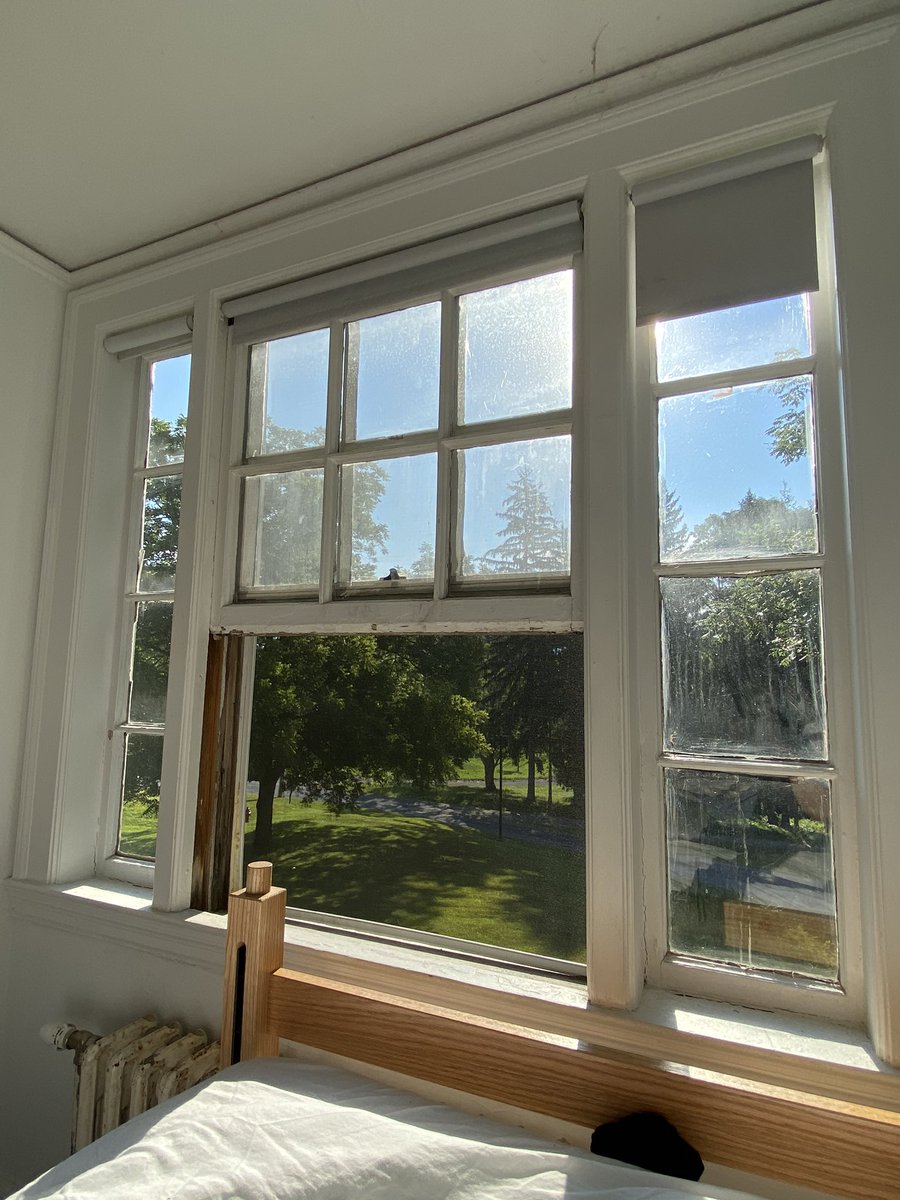 Thomas Evans tweet media