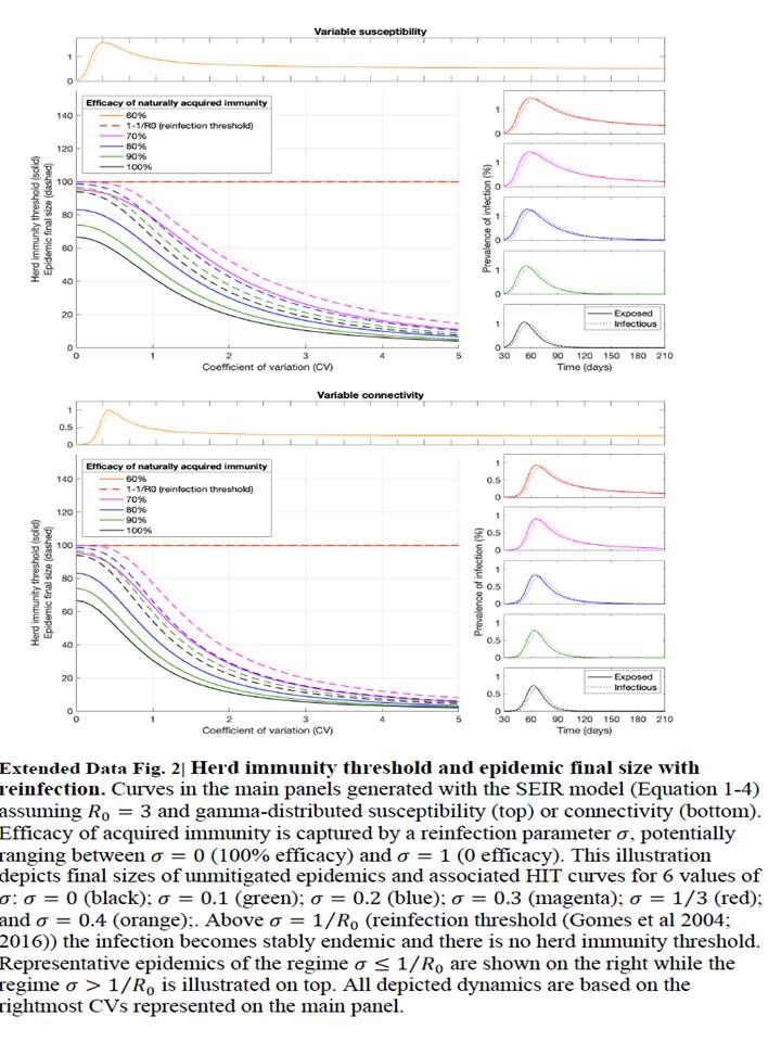 Thomas_Wilckens's tweet photo. Analysis. If we prevent contacts of low risk, high contact groups (children, younger than app 45) we prevent #populationimmunity, i.e. fail to protect individuals at risk from #covid19 in the long run https://t.co/BttAYecuFD and https://t.co/hZpjxFjEBF and https://t.co/ILturZZMi9 https://t.co/RNOGefG3P9