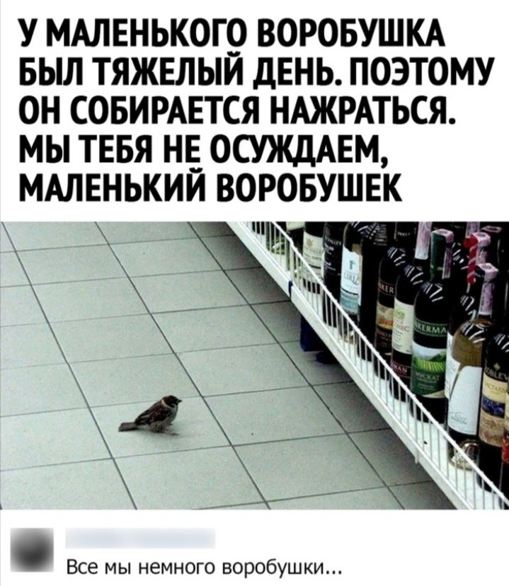 Дневник поехавшего (@_hotcoffe_) on Twitter photo 