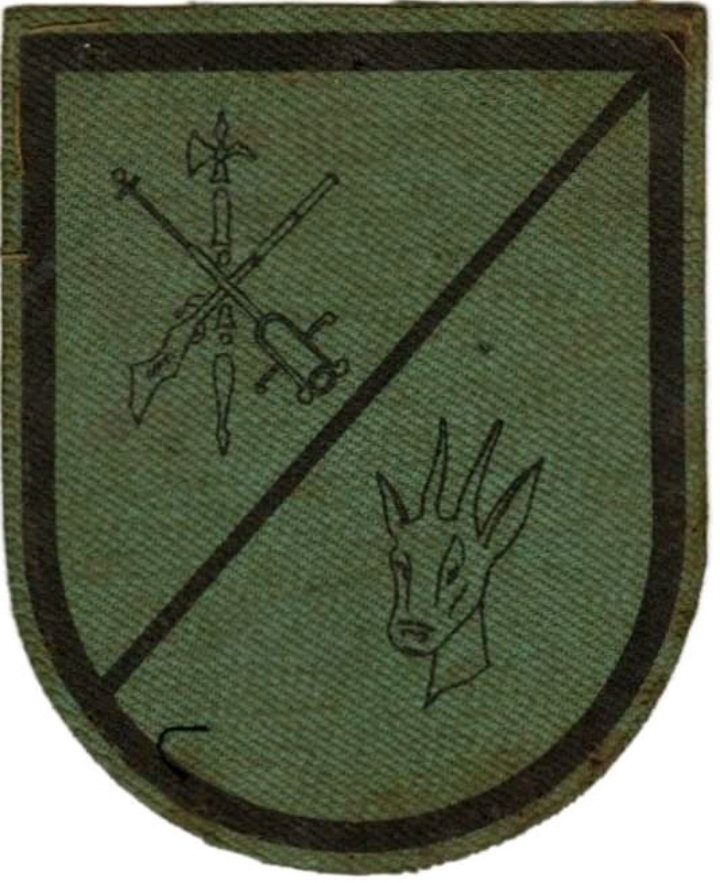 PlataformaMill1's tweet photo. Grupo Ligero de #Caballería, #VIIBandera y #VIIIBandera de #LaLegion #Legion #LegionEspañola. https://t.co/Q6FFqOSmwv