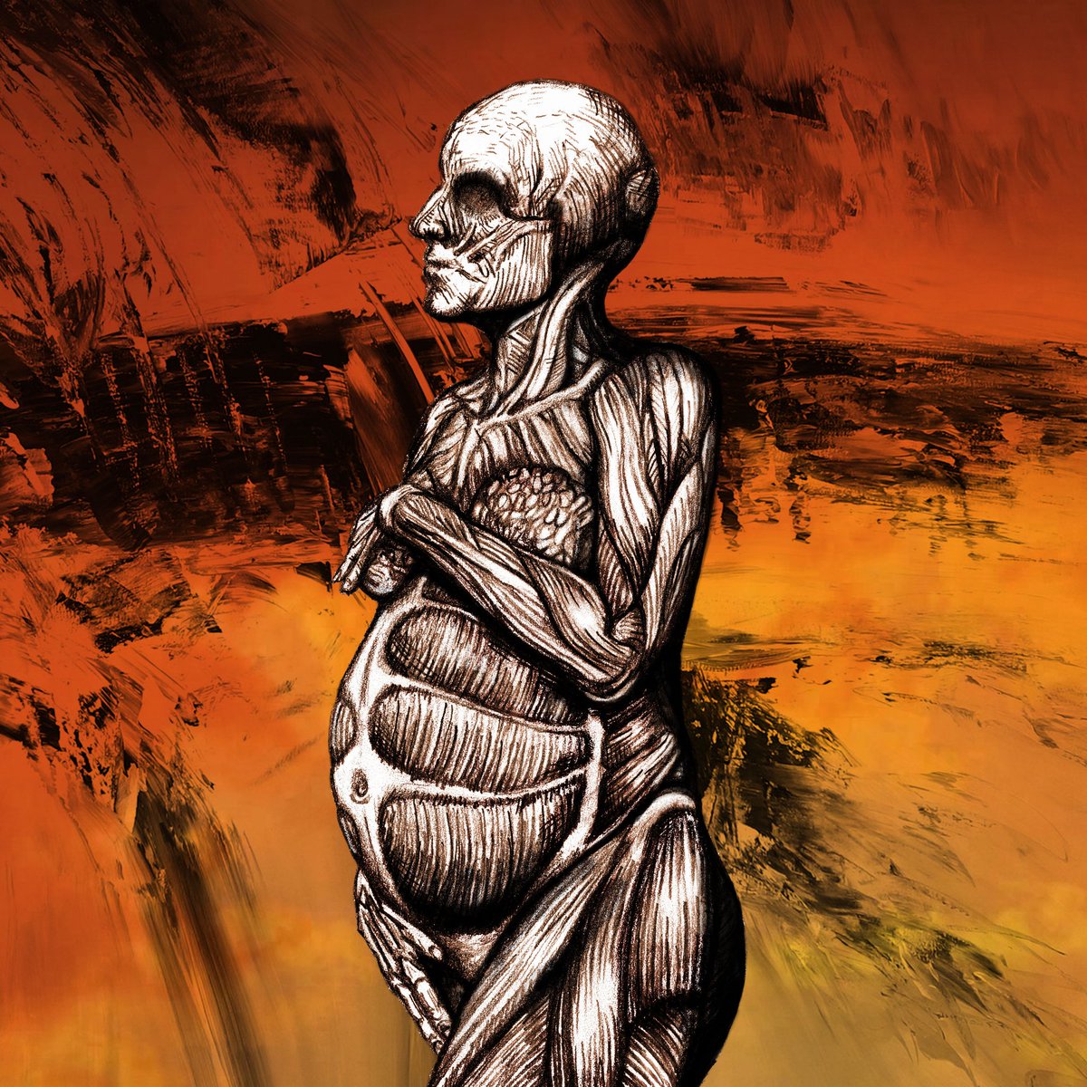 Album cover for Arcade Messiah The Host