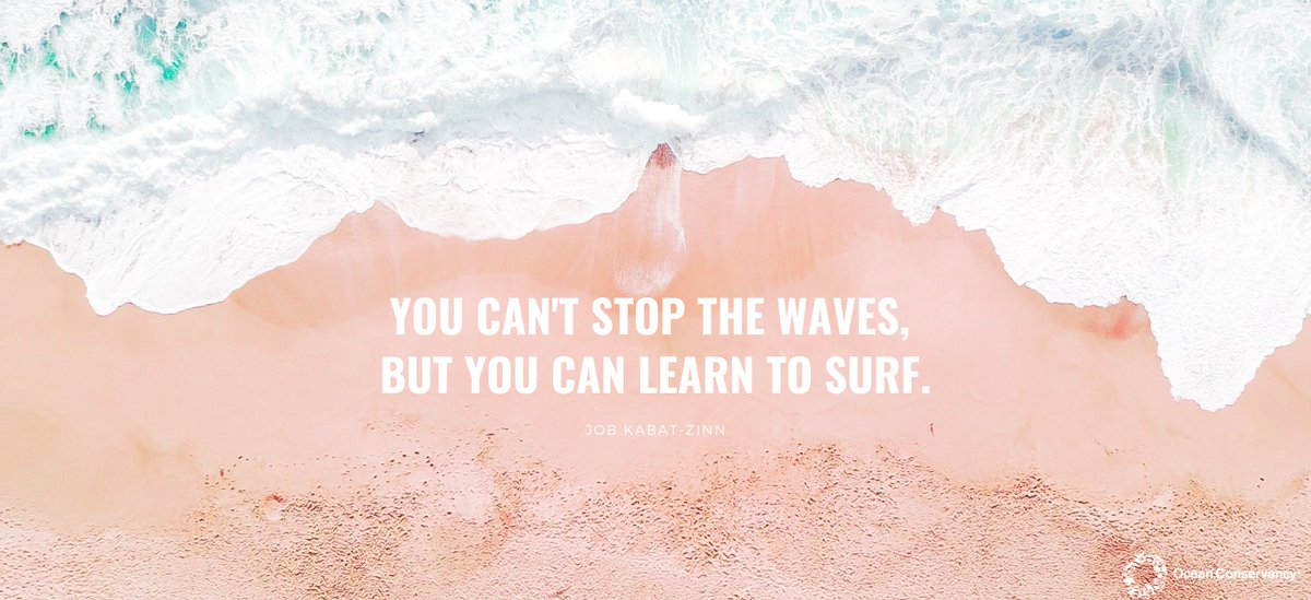 OurOcean's tweet photo. Just some #MondayMotivation to start your week off right 🌊 https://t.co/f0dB0BZHMS