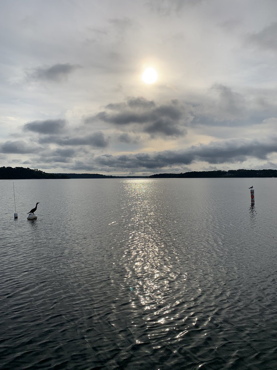 HappyCapeCod's tweet image. No wake this morning on #LongPond #brewster #capecod #sup