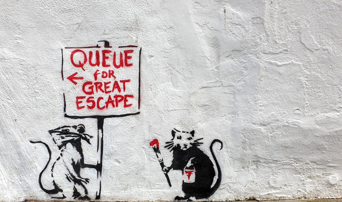 StephenAHenry's tweet image. The #NewNormal except, you're not escaping anything.

#Queueing 

5 vowels in a row! #whoknew