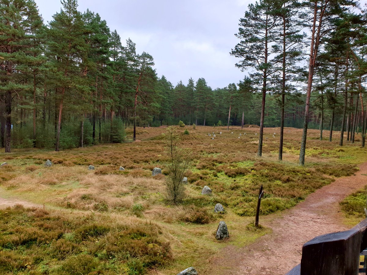 AniaStepien88's tweet photo. Powiększony #RezerwatKamienneKręgi #NadleśnictwoCzersk o 4600m2! Wyznaczono też otulinę rezerwatu o powierzchni 50ha. W rezerwacie znajduje się 10 kręgów kamiennych zbudowanych z głazów narzutowych oraz 30 kurhanów. Kręgi pełniły funkcję miejsca zebrań plemienia Gotów od I w n.e. https://t.co/qVa4bOEIOj