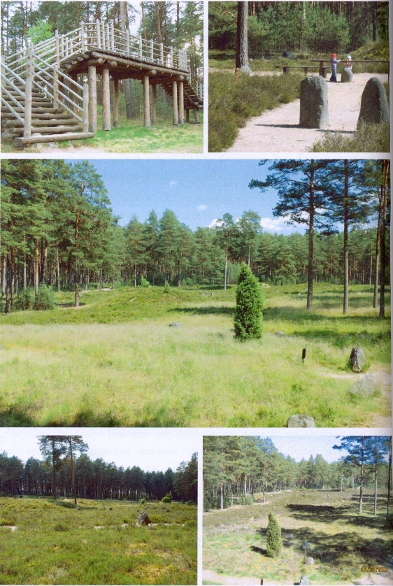 AniaStepien88's tweet photo. Powiększony #RezerwatKamienneKręgi #NadleśnictwoCzersk o 4600m2! Wyznaczono też otulinę rezerwatu o powierzchni 50ha. W rezerwacie znajduje się 10 kręgów kamiennych zbudowanych z głazów narzutowych oraz 30 kurhanów. Kręgi pełniły funkcję miejsca zebrań plemienia Gotów od I w n.e. https://t.co/qVa4bOEIOj