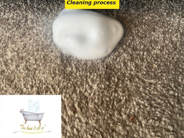 TheKnowItAllCo2's tweet photo. #HappyMonday ..... our #job is #never #over but we love it that way !! 😁one of #our members started at 5:30am for a #new #customer who was worried that a #stain would not come out on her #landlords #carpet But as you can see seeing is believing! 😌

#uk #based #carpetcleaning https://t.co/JTpSfoCAsx