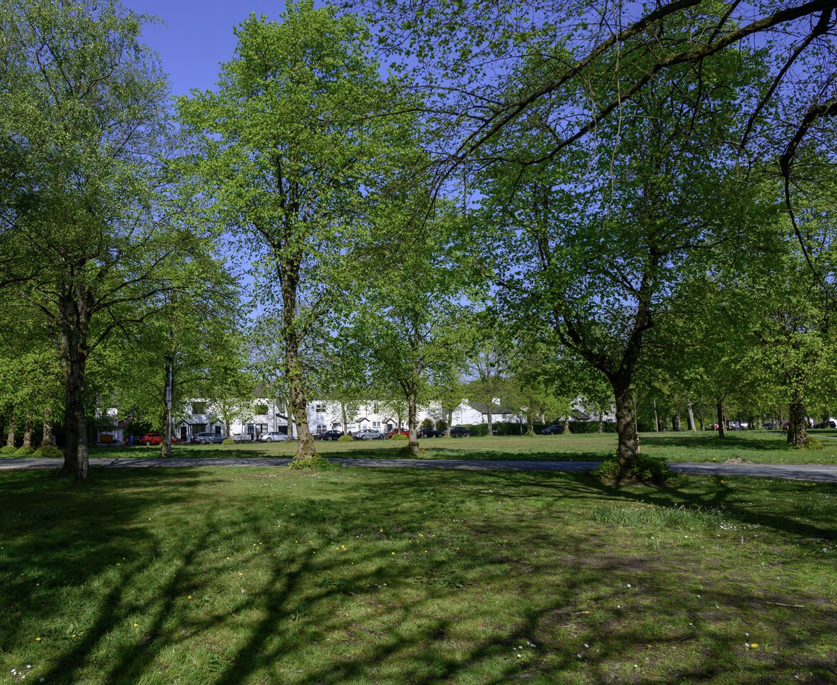 HarrisonPhair's tweet photo. This is #lockdown Roe Green
#lime #limetrees #trees #spring #tilia #roegreen #grass #worsley #salford #openspace #greenopenspace #greenlung
@SalfordTwinning
@SalfordVRangers
@YVESWAUTHIER
@NikonatGrays
@SalfordLeisure
@VisitSalford
@CityofTreesMcr
@SalfordWildlife
@WorsleyInfo https://t.co/iG55h98bEC