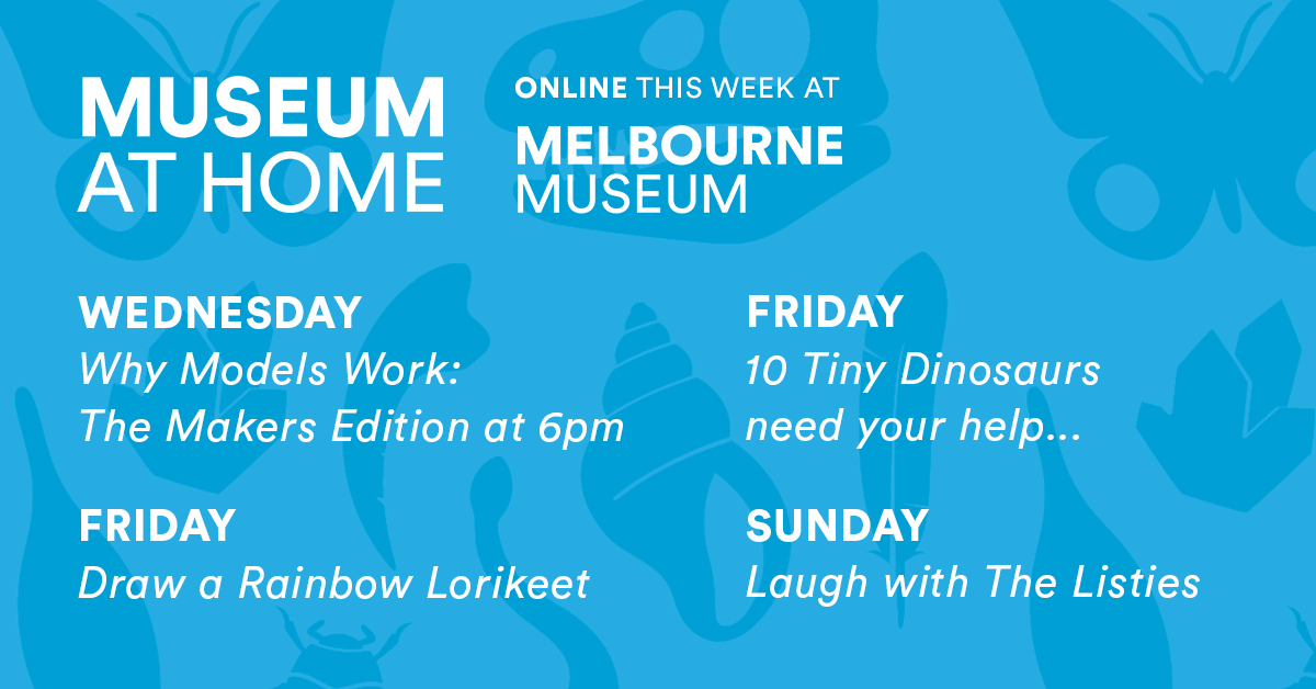 Melbourne Museum on Twitter "Let us brighten your week. 🌞 Whether you