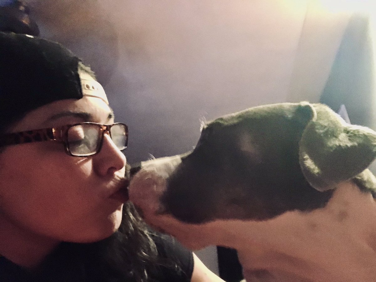 OfficialGinaR's tweet photo. @VRC_Pitbull appreciate you! My Cali and I, celebrating 1 year anniversary from rescuing her from fighting in LA-not from VRC- but princess chose me! My baby is so spoiled! And has come far from aggressive. So we snuggle and binge the show 2nite with Salmon and the works!! https://t.co/Ph4gaLbfFW