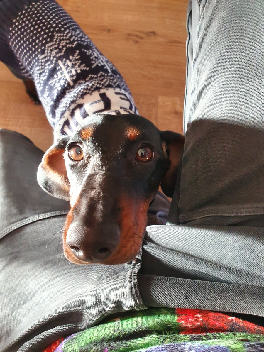 Tom58205877's tweet photo. Made a friend hehe https://t.co/eKi9KjPPH4