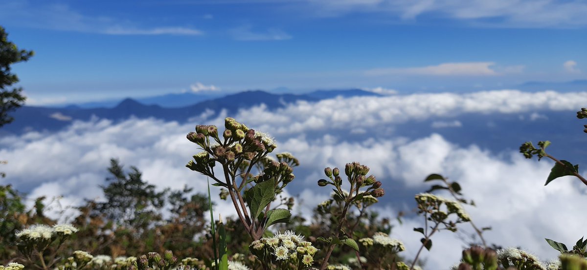 peakyisme's tweet image. Kadang kita perlu bicara serius dengan diri sendiri dan alam sebagai saksinya.