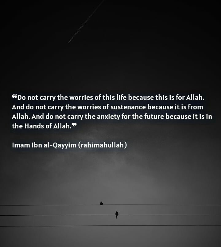 HijabMyModesty's tweet image. There's a hidden blessing in being rejected, misunderstood and betrayed by people. It teaches us to rely only on Allah for everything.
#Allahlovesyou #Allahmercy #Allahblessings #AllahTheHealer #truebelievers #TrustHimAlways