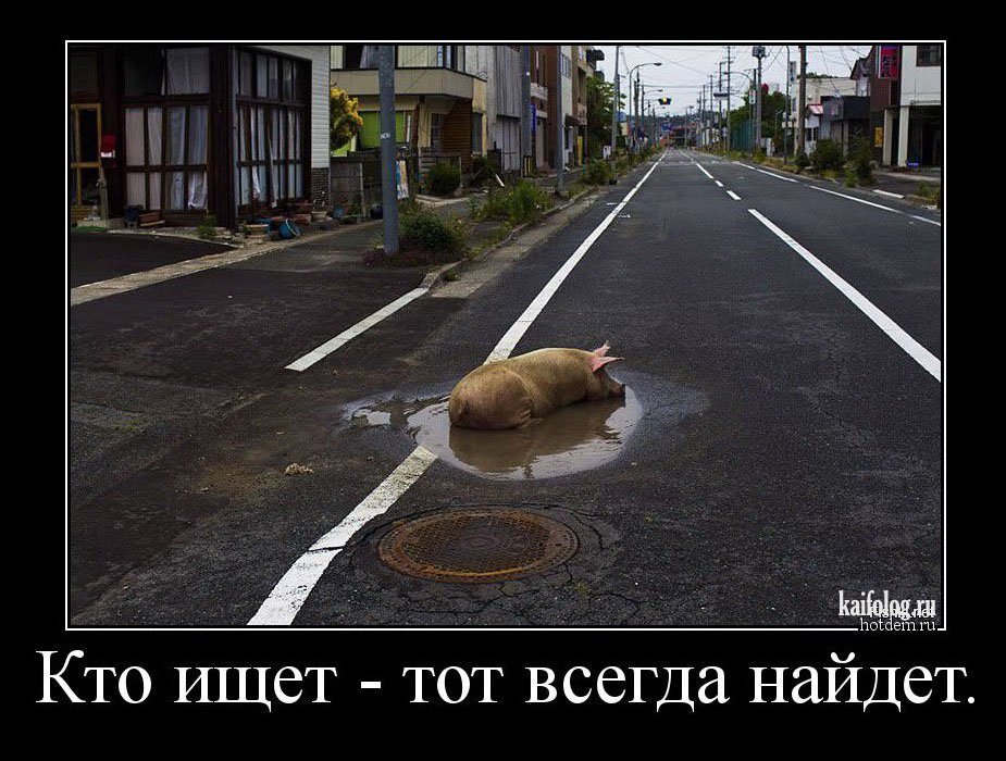 EgLGCAtWAAEkwEU.jpg