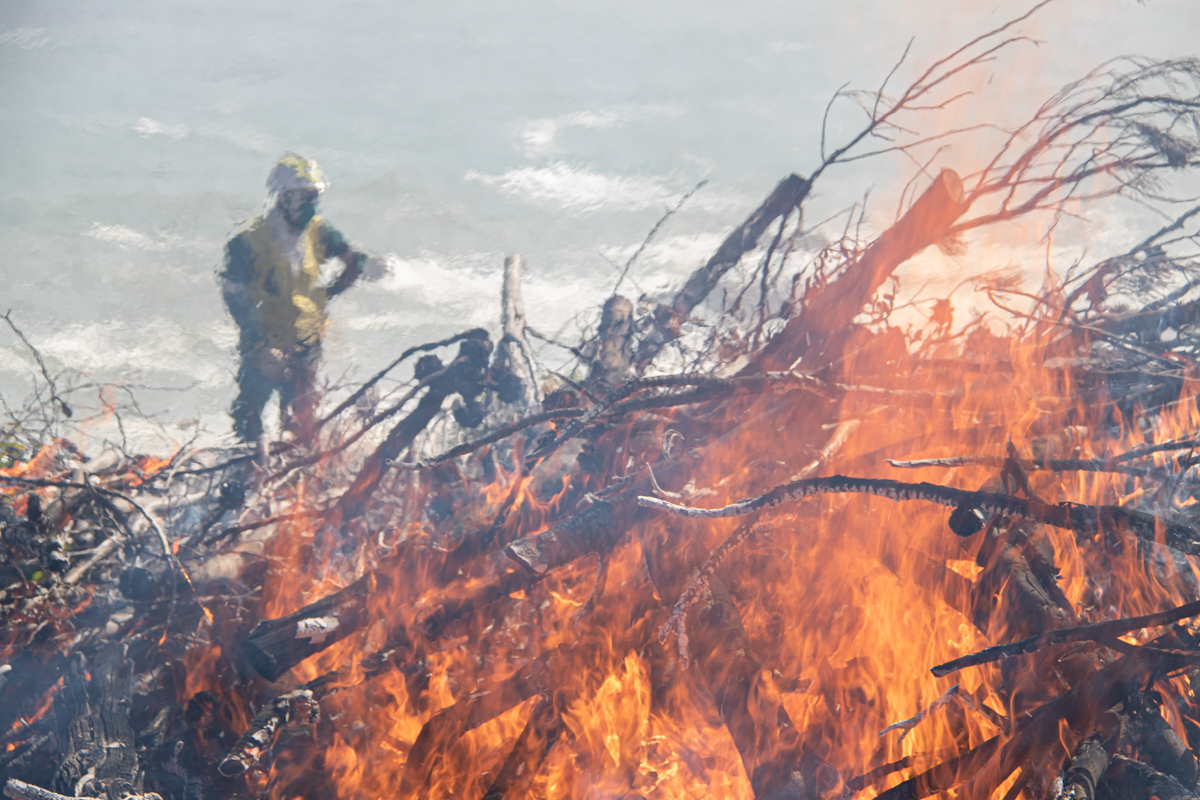 NCCEnviron's tweet photo. At work with NCC Wildfire Crews...

Squad Leader Omar at a recent reduction/stack burning in Bakoven - https://t.co/KuRQRPuceO

#wildlandfirefighters #conservation #wildfireservices #fire #environmentalservices https://t.co/vCdFz8VSkr