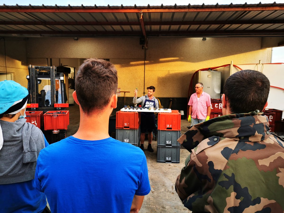 Les vendanges ont commencé chez David Faivre et son équipe, vigneron à Belval-sous-Châtillon dans la vallée de la Marne. #champagne