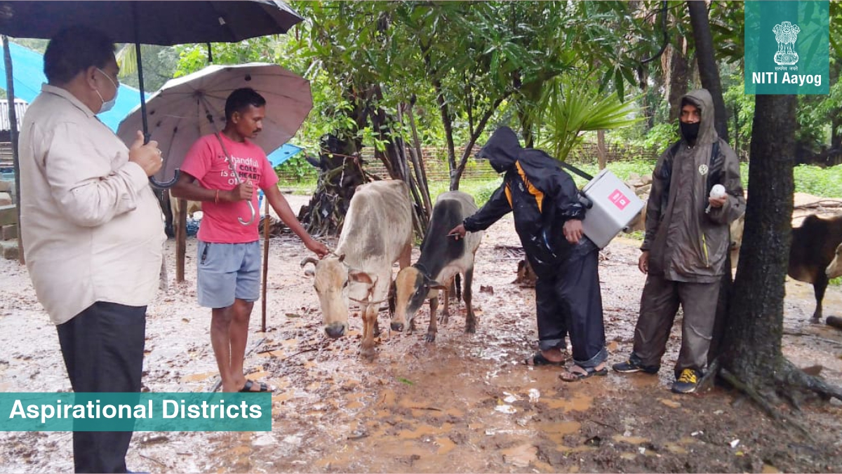 The Animal Husbandry and Veterinary Department of #AspirationalDistrict Sukma is ensuring door-to-door delivery of animal care services and fodder even during heavy monsoons in the region. 

Leaving no one behind! 🙌