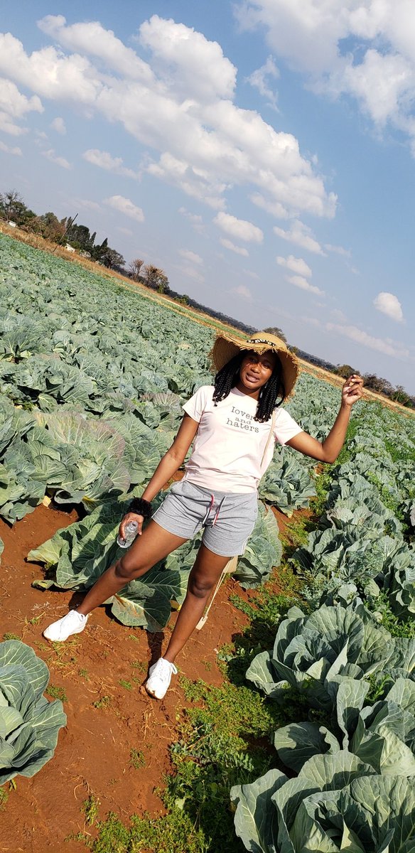 no_nhlanhla_m's tweet image. Amavuko🌞🌱
#bulawayo
#ZimbabweanLivesMatter