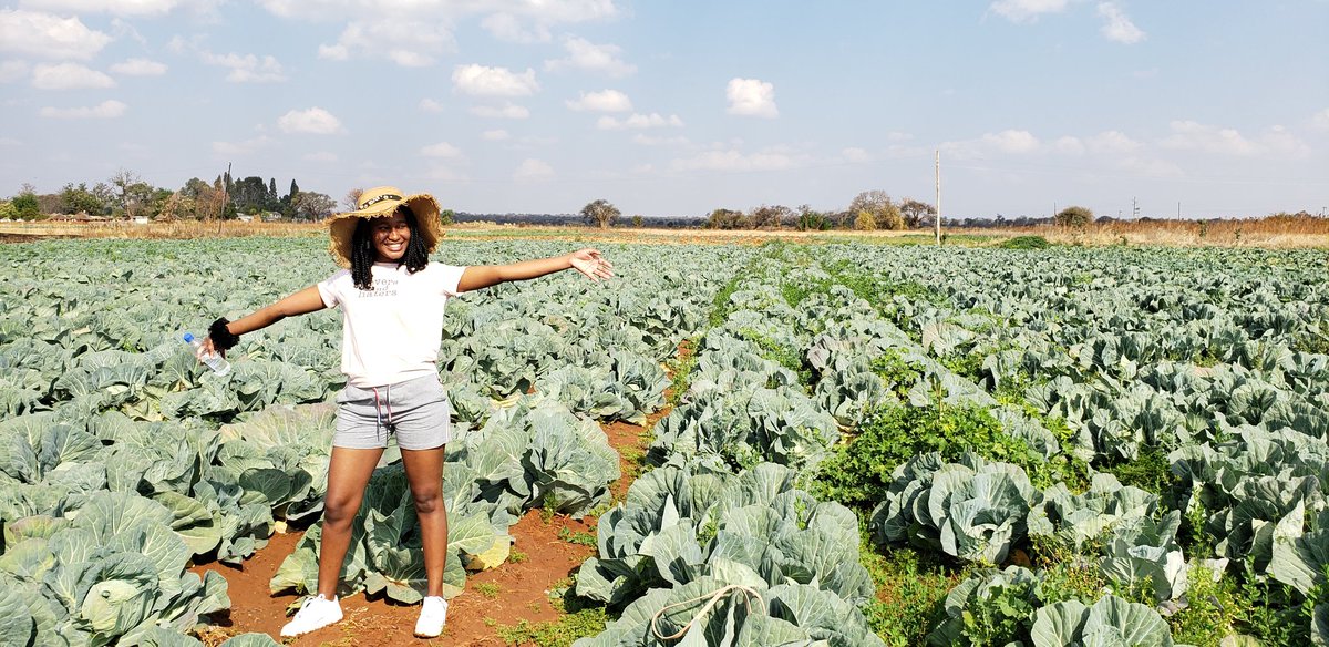 no_nhlanhla_m's tweet image. Amavuko🌞🌱
#bulawayo
#ZimbabweanLivesMatter