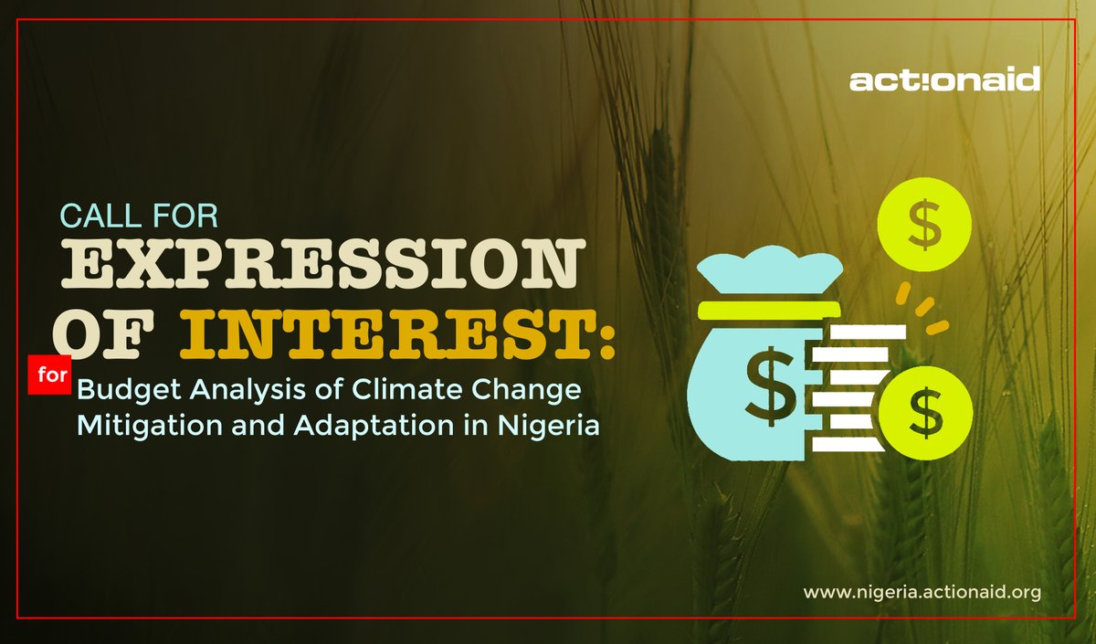 Do you have what it takes to carry out the budget analysis of climate change mitigation and adaptation in Nigeria? Then this is for you!

Details: : bit.ly/2Q9QlHF