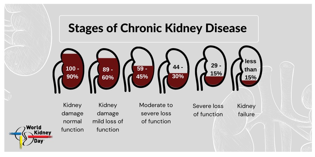 Distribution of estimated glomerular filtration rate and 50 off