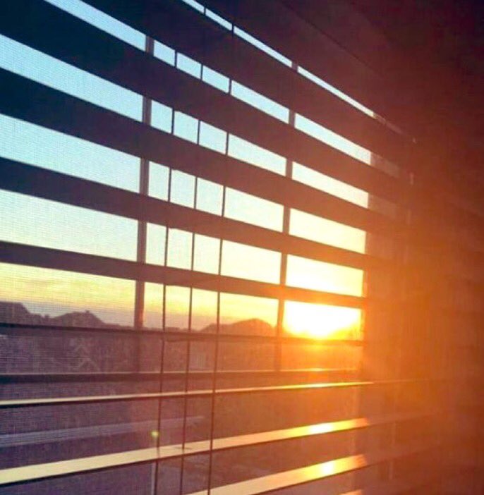 فذ 🌍 tweet media