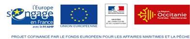 Le projet #INOVO continue. Au cours du premier suivi, nous avons observé des pontes de calmars, Loligo vulgaris vulgaris en grande majorité et une ponte de seiche, sepia officinalis (période creuse pour cette espèce).