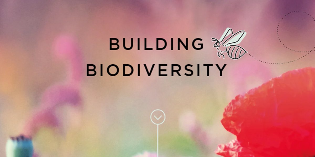 CarterJonas's tweet photo. In a previous issue of #RuralView, we introduced #BiodiversityNetGain. It has since gathered momentum and become a major topic for #landowners and #developers, but our article remains a great overview if you missed it first time round. Read it here: https://t.co/vUzj1KfFiM https://t.co/bTVFfkH5FR