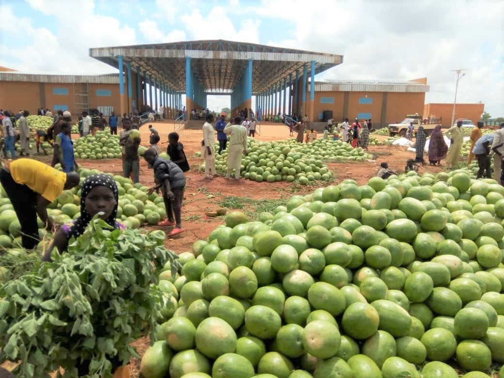In the Maradi region of Niger, RFS financed the development of a wholesale market that has since become a hub for watermelon trading. During the month of August, roughly 10,000 watermelons a day have been sold to local markets or loaded onto trucks destined for Niamey or Nigeria.