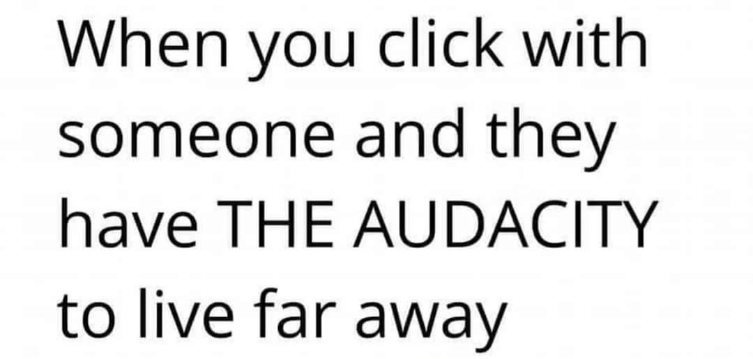 #holunda 😭😅😂🤣