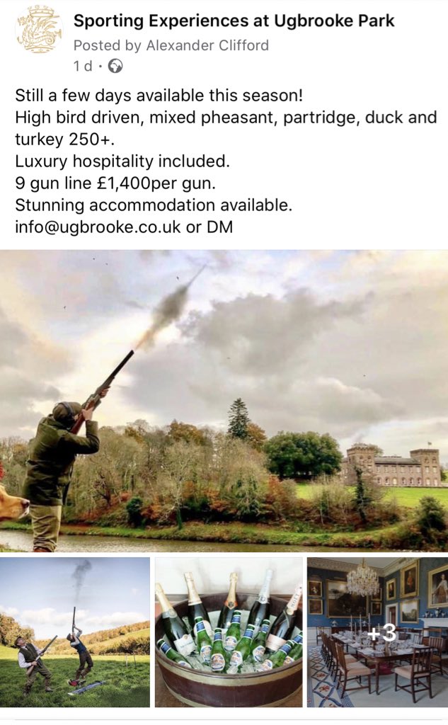 Ugbrooke Park (@ugbrookepark) on Twitter photo 