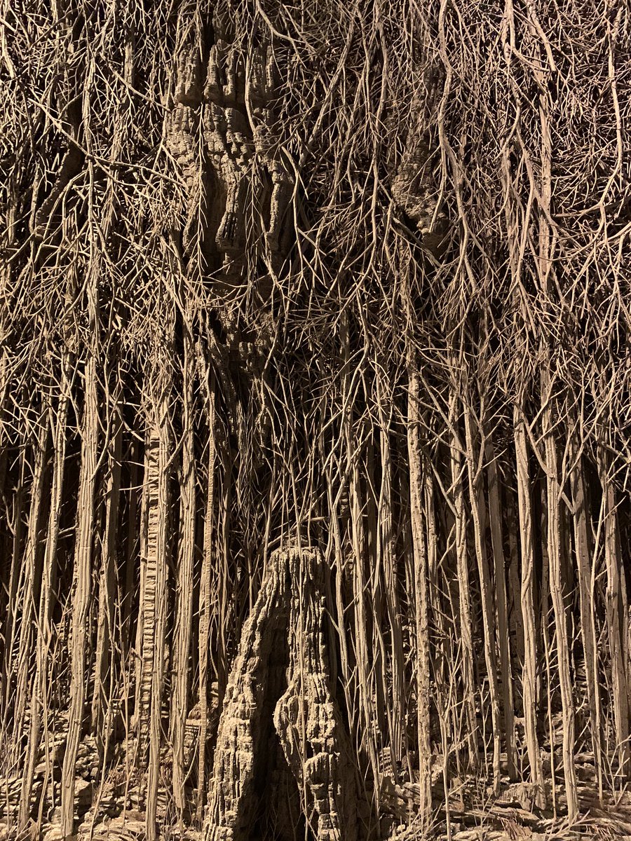 clairelizabel's tweet image. First cultural experience in London since lock-down and it didn’t disappoint! So beautifully curated - the lives of trees, some dating back 9,000 years...on now @haywardgallery #AmongtheTrees