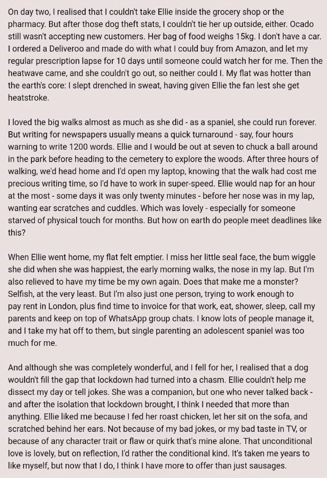 I thought a dog was the answer to pandemic loneliness - I was wrong. Written for this week’s <a href="/TheWingwoman_/">The Wingwoman</a> newsletter
