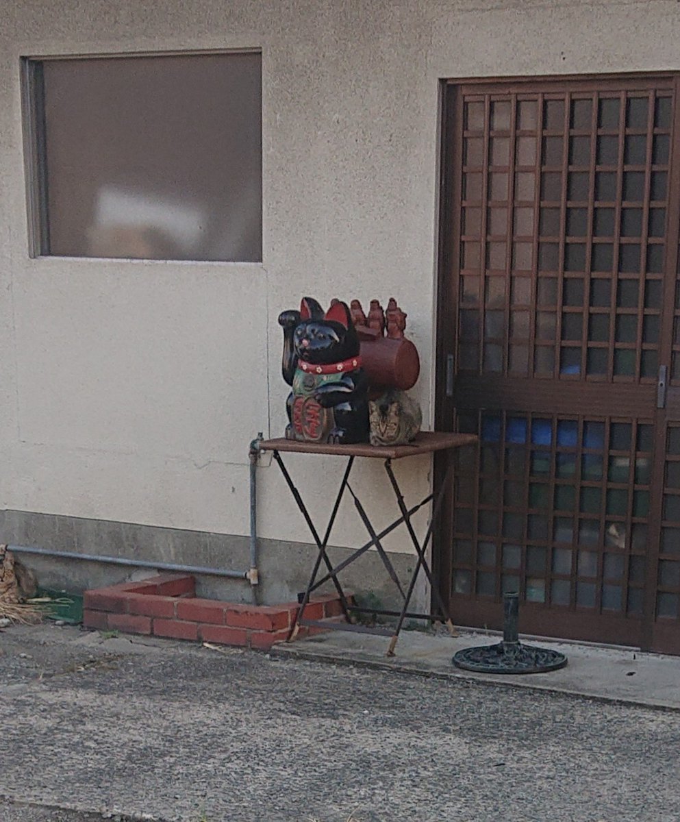 今日朝招き猫の隣に猫がちょこんと座ってた😂
可愛すぎる😭